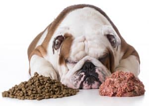 Are-you-eating-your-own-dog-food?