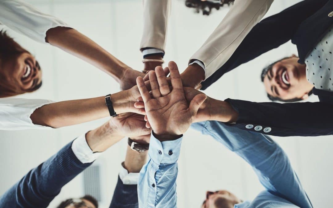 Using the Five Behaviors of a Cohesive Team to Transform and Elevate Your Business